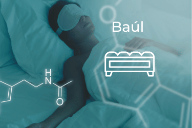 Baúl Tapizado