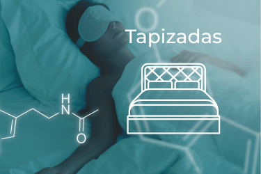 Camas Tapizadas