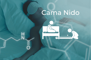 Camas Nido