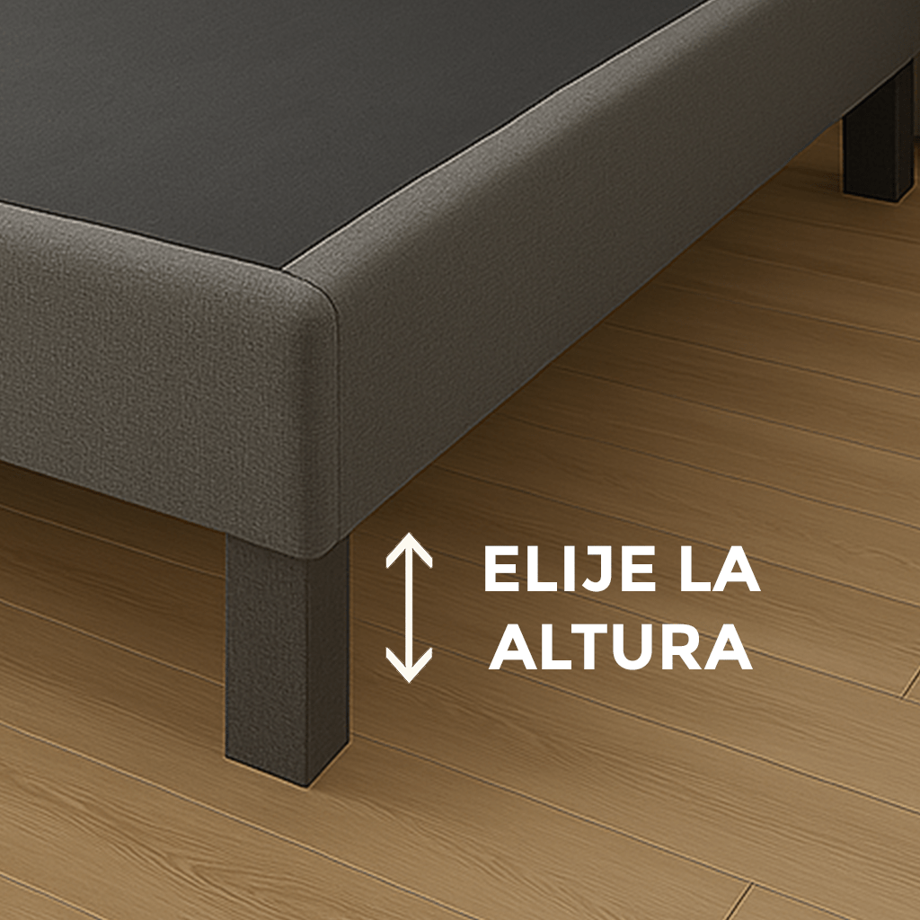 Elije el estilo
