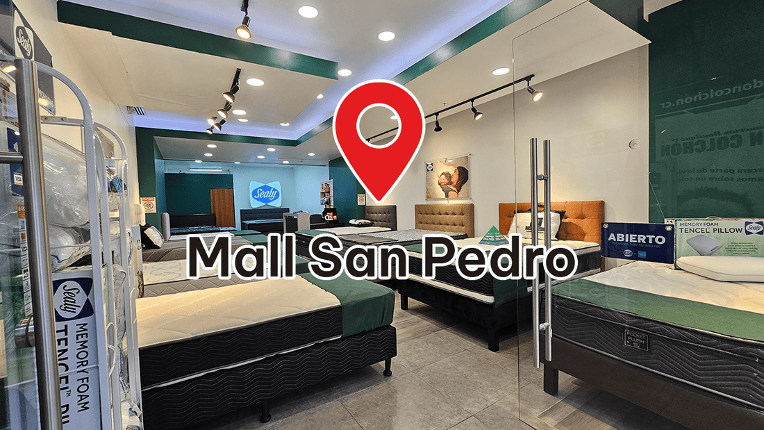 Mall San Pedro